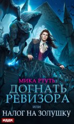Скачать Догнать ревизора, или Налог на Золушку бесплатно