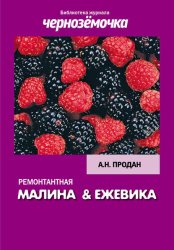 Скачать Ремонтантная малина и ежевика бесплатно