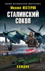 Скачать Сталинский сокол. Комдив бесплатно