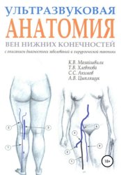 Скачать Ультразвуковая анатомия вен нижних конечностей бесплатно
