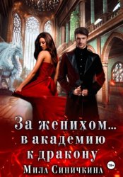 Скачать За женихом… в академию к дракону бесплатно