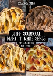 Скачать Stiff Sourdough Make it Make Sense: No Serendipity, No Chance бесплатно