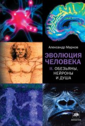 Скачать Обезьяны, нейроны и душа бесплатно