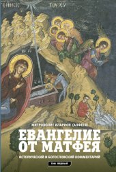 Скачать Евангелие от Матфея. Исторический и богословский комментарий. Том 1 бесплатно