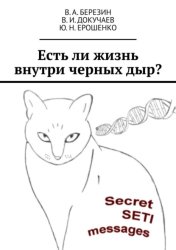 Скачать Есть ли жизнь внутри черных дыр? бесплатно