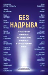 Скачать Без надрыва. Стратегии лидеров по созданию бизнеса и сохранению себя бесплатно