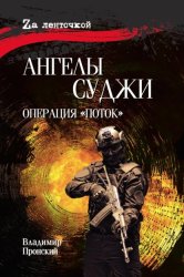 Скачать Ангелы Суджи. Операция «Поток» бесплатно