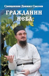 Скачать Гражданин Неба бесплатно