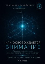 Скачать Протокол спокойствия в мире перегрузки 3 бесплатно