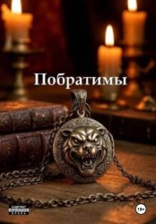 Скачать Побратимы бесплатно