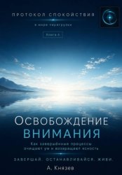 Скачать Протокол спокойствия в мире перегрузки 6 бесплатно