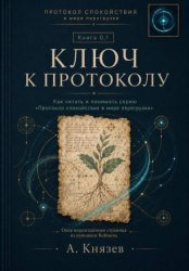 Скачать Ключ к протоколу спокойствия в мире перегрузки книга 0.1 бесплатно
