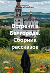 Скачать Встречи в Белгороде. Сборник рассказов бесплатно