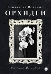 Скачать Орхидеи бесплатно