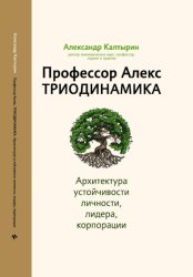 Скачать Профессор Алекс. Триодинамика. Архитектура устойчивости личности, лидера и корпорации бесплатно