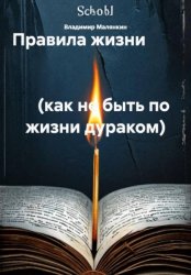 Скачать Правила жизни (как не быть по жизни дураком) бесплатно