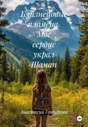 Скачать Мое сердце украл Шаман. Близнецовые пламена бесплатно