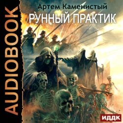 Скачать Рунный практик бесплатно