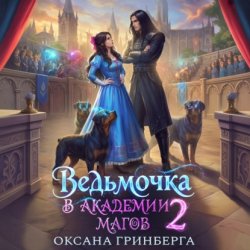 Скачать Ведьмочка в Академии Магов – 2 бесплатно