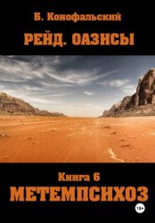 Скачать Рейд. Оазисы книга 6 МЕТЕМПСИХОЗ бесплатно