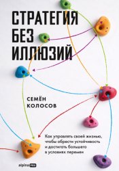 Скачать Стратегия без иллюзий: Как управлять своей жизнью, чтобы обрести устойчивость и достигать большего в условиях перемен бесплатно