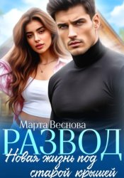 Скачать Развод. Новая жизнь под старой крышей бесплатно