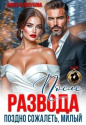 Скачать После развода. Поздно сожалеть, милый бесплатно