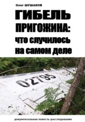 Скачать Гибель Пригожина: что случилось на самом деле бесплатно