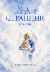 Скачать Звёздный странник. 3 часть бесплатно