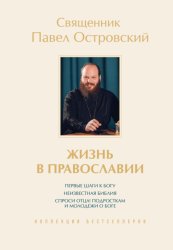 Скачать Жизнь в православии. Коллекция бестселлеров. Комплект из 3 книг бесплатно