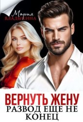 Скачать Вернуть жену. Развод ещё не конец бесплатно